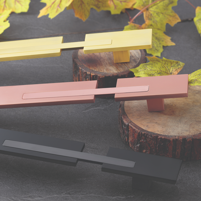 Patti Main Door Handle